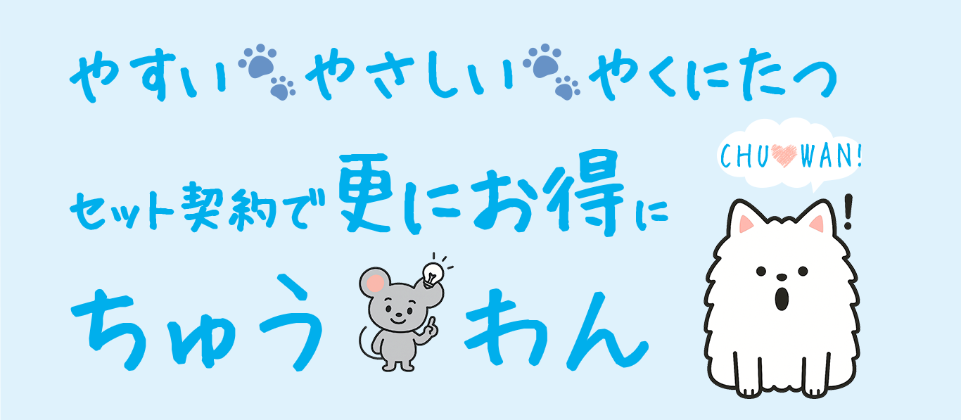 やすい やさしい やくにたつ セット契約で更にお得に ちゅうわん