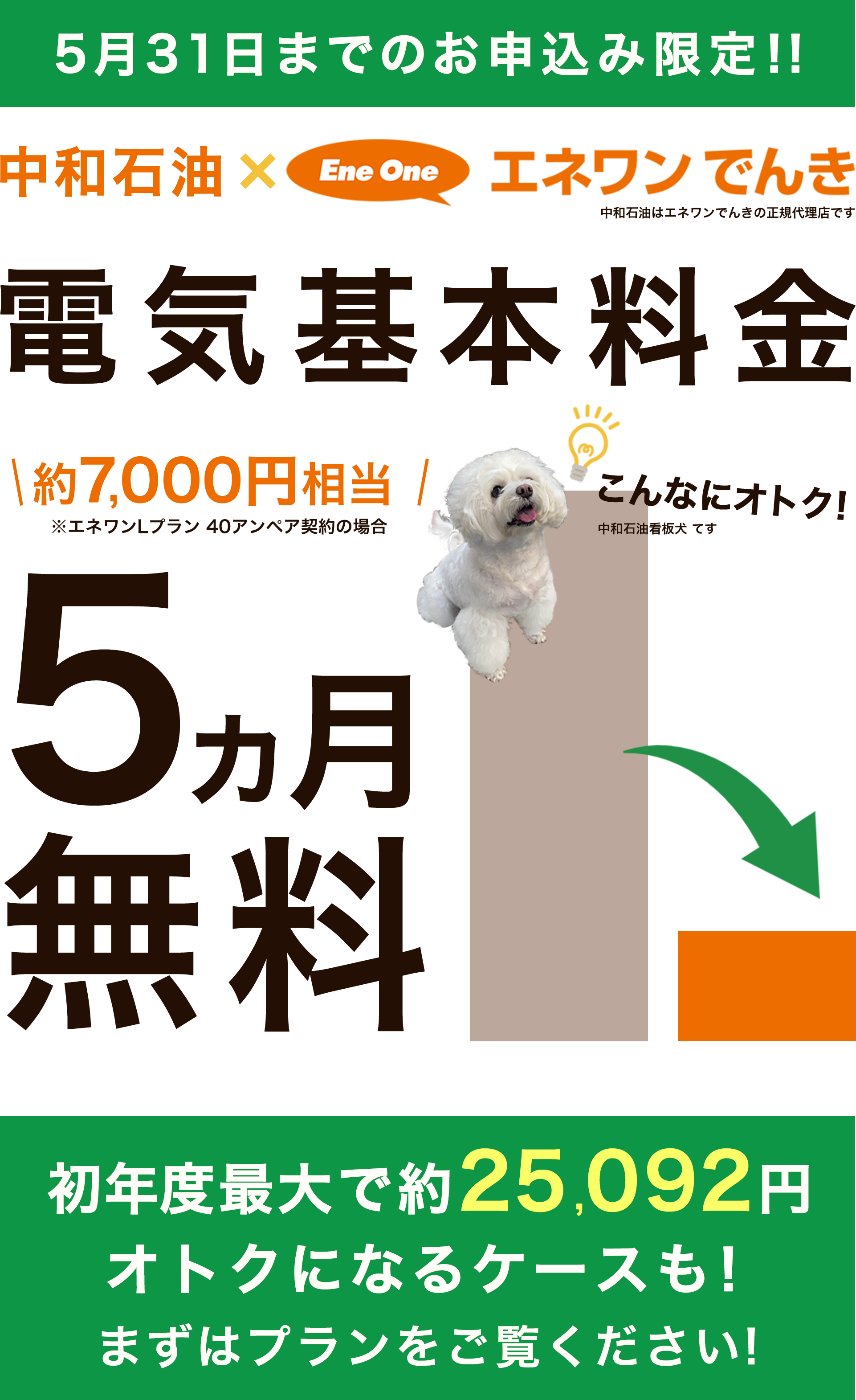 オトクがいっぱい！特典もいっぱい！　中和石油×エネワンでんき